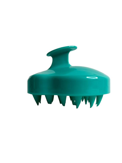 Brosse massante (vert)